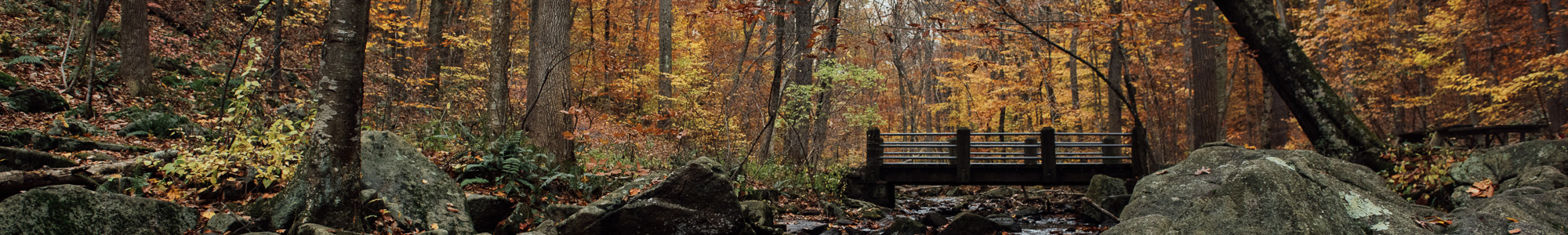 Hacklebarney State Park