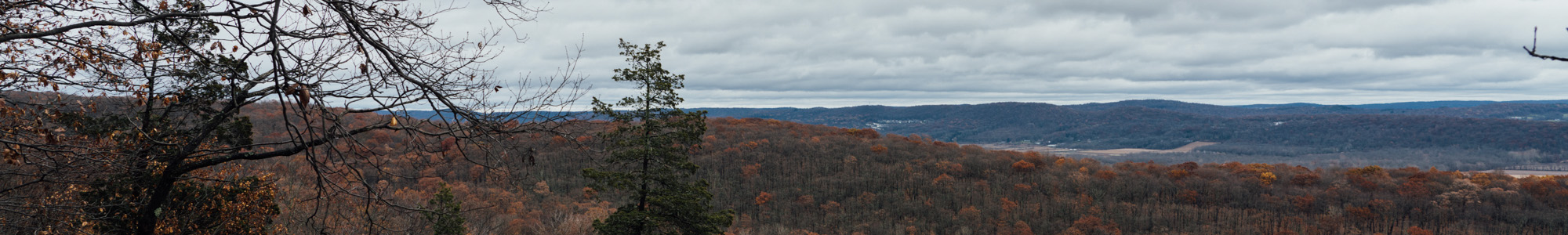 Jenny Jump State Forest