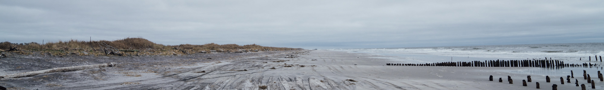 North Brigantine Natural Area