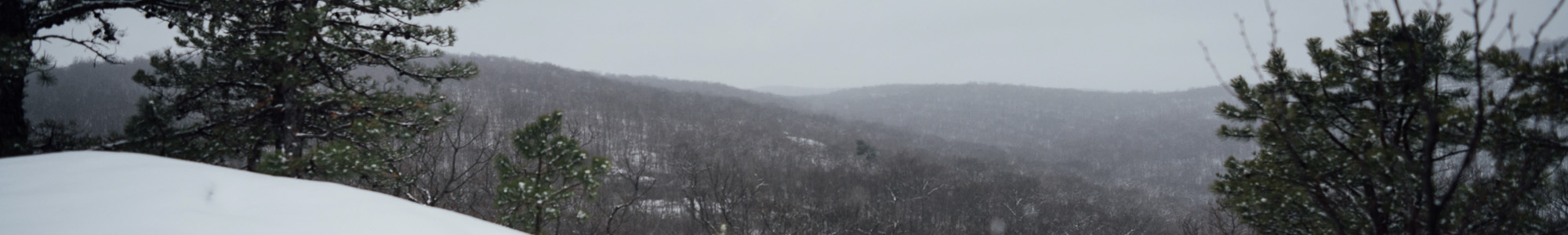 Norvin Green State Forest