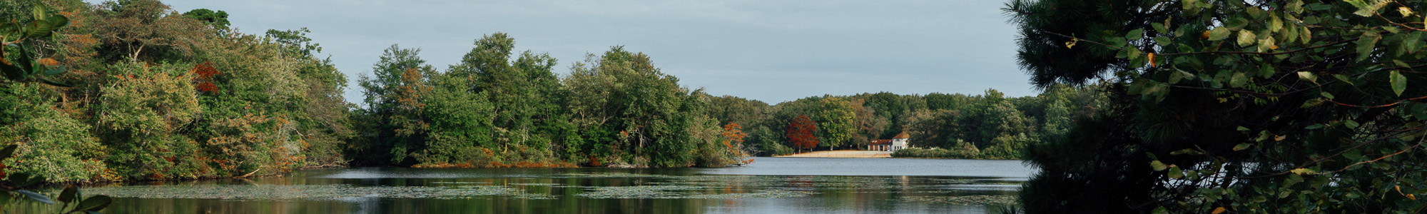 Parvin State Park