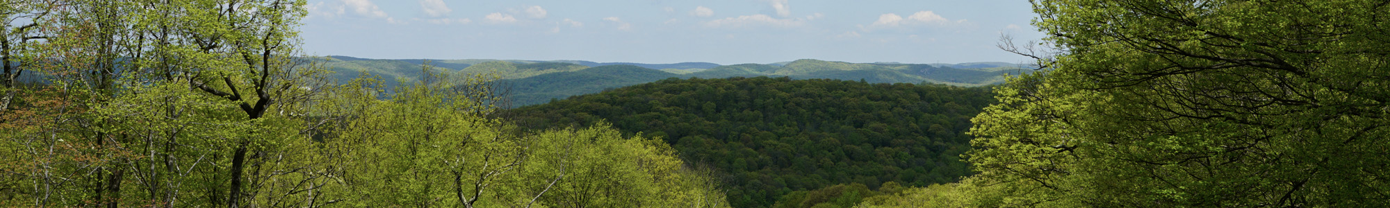 Ringwood State Park