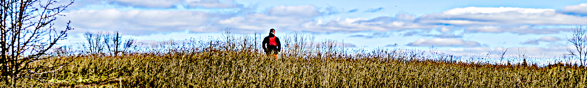 Six Mile Run Reservoir Site