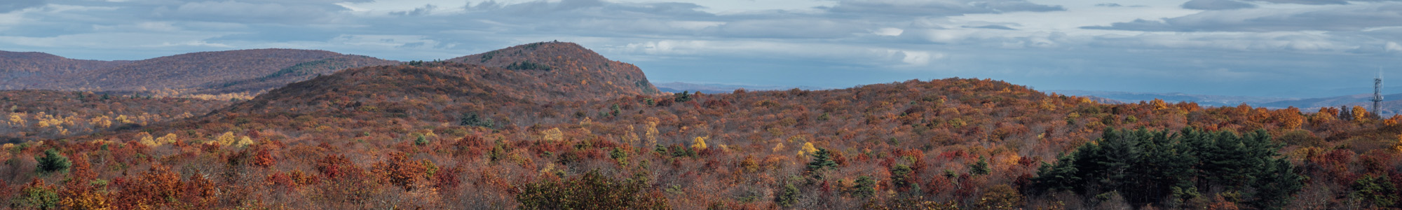 Stokes State Forest