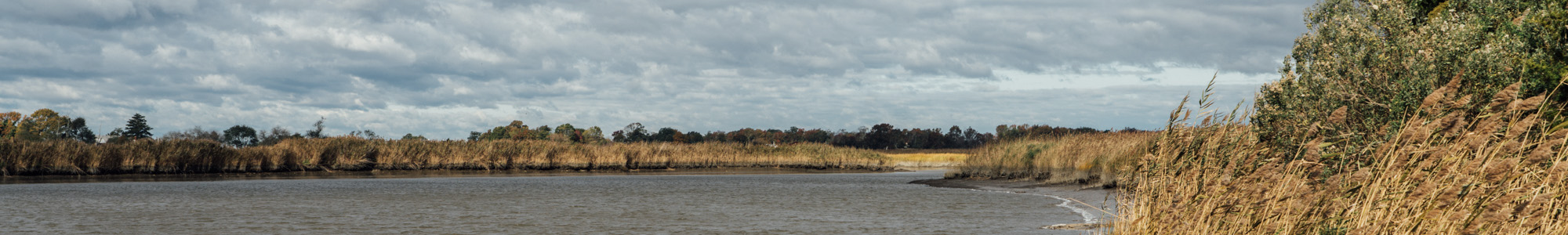 Stow Creek State Park