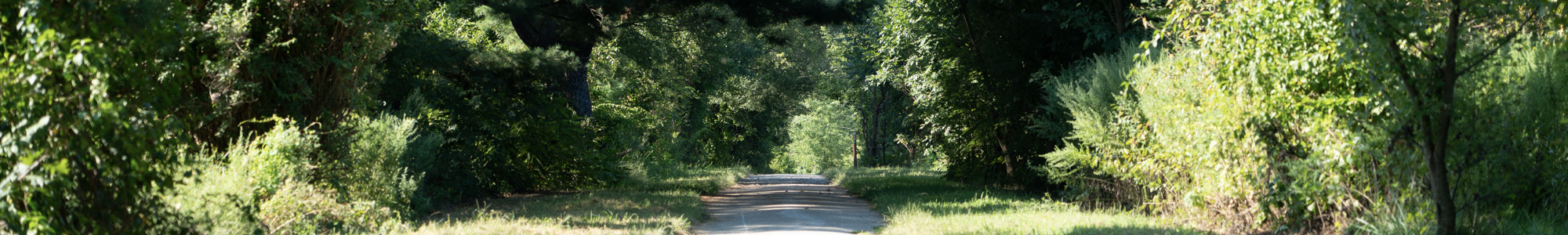 Tall Pines State Preserve