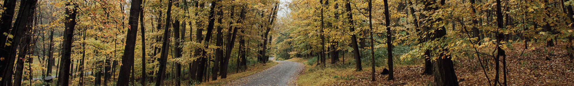 Washington Crossing State Park