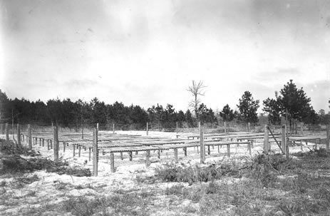 Bass River Nursery 1907