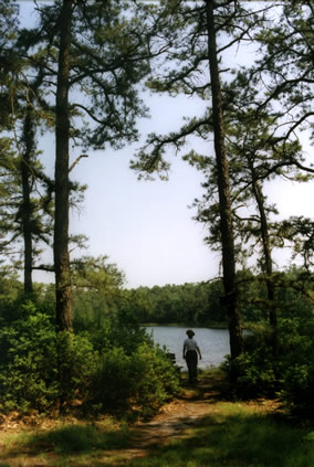 A view from the cabins