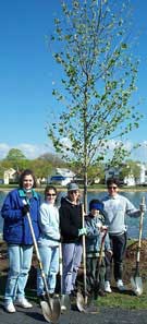 A group of volunteers with their shovels in their hands helping to plant trees.