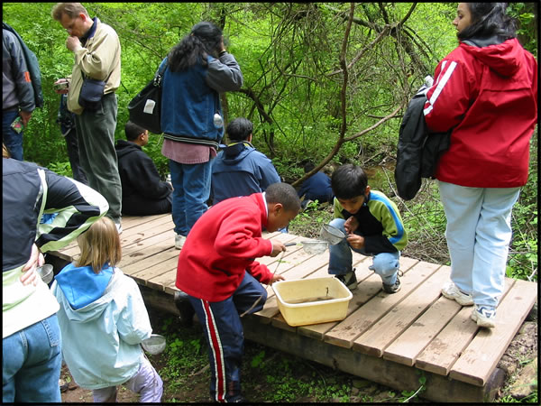 Sifting through the mud