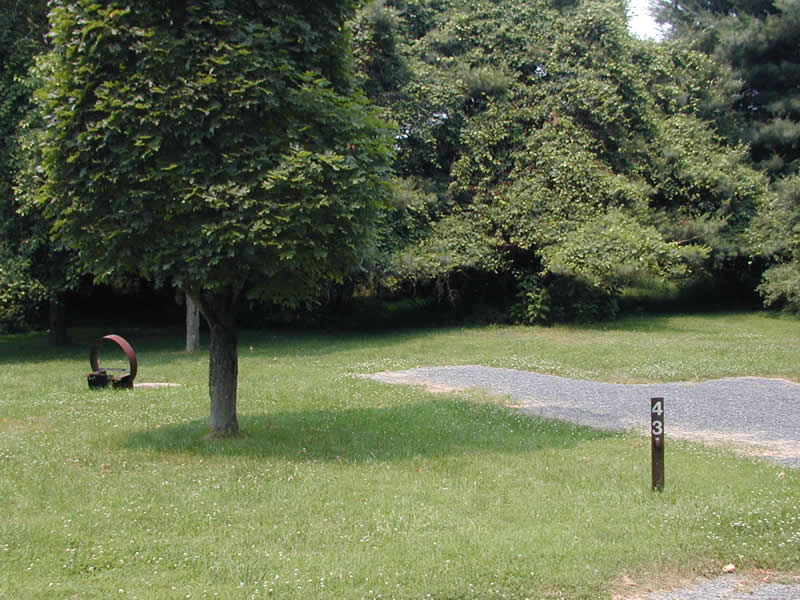 Click to enlarge and view brief description