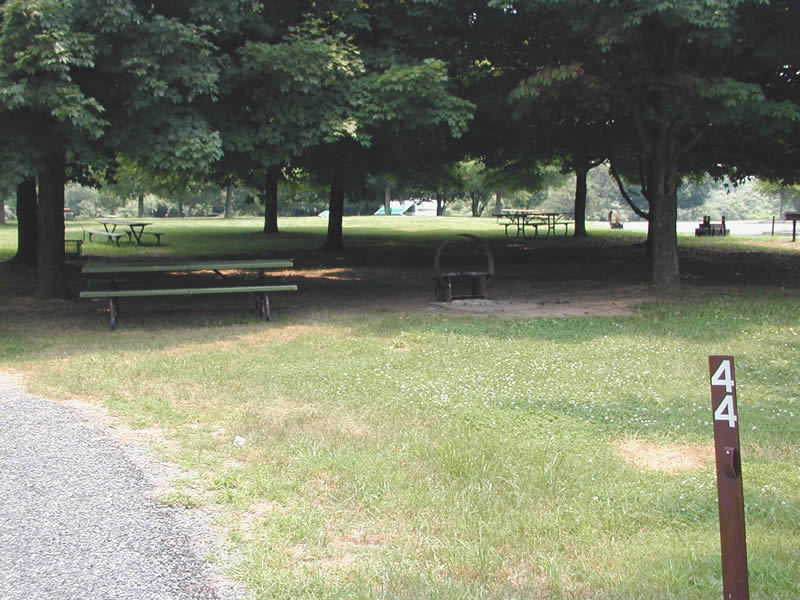 Click to enlarge and view brief description