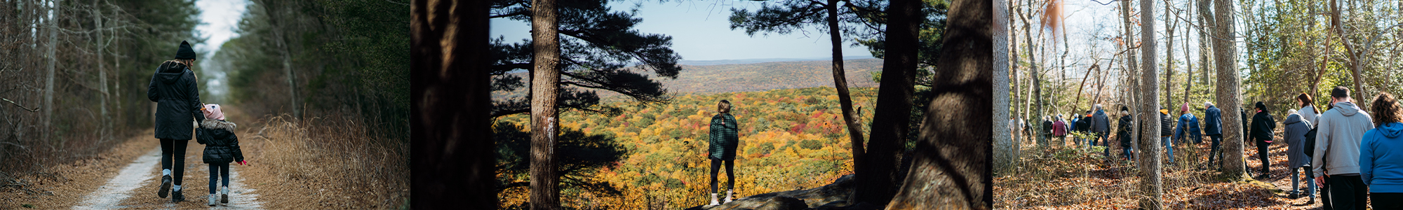 Area Maps of the State Park Service