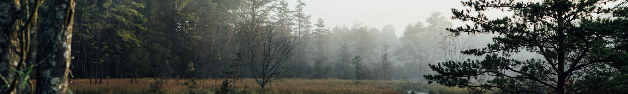 Wharton State Forest Visitor & Vehicle Use