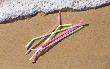 Requirements for Single-use Plastic Straws
