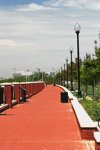 Scenic Walkway in the Park