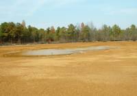Burnt Fly Bog site cleaned up