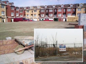 Before & After View of a Site