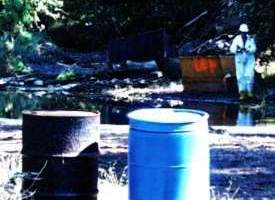 NJDEP worker takes inventory along Peter's Brook