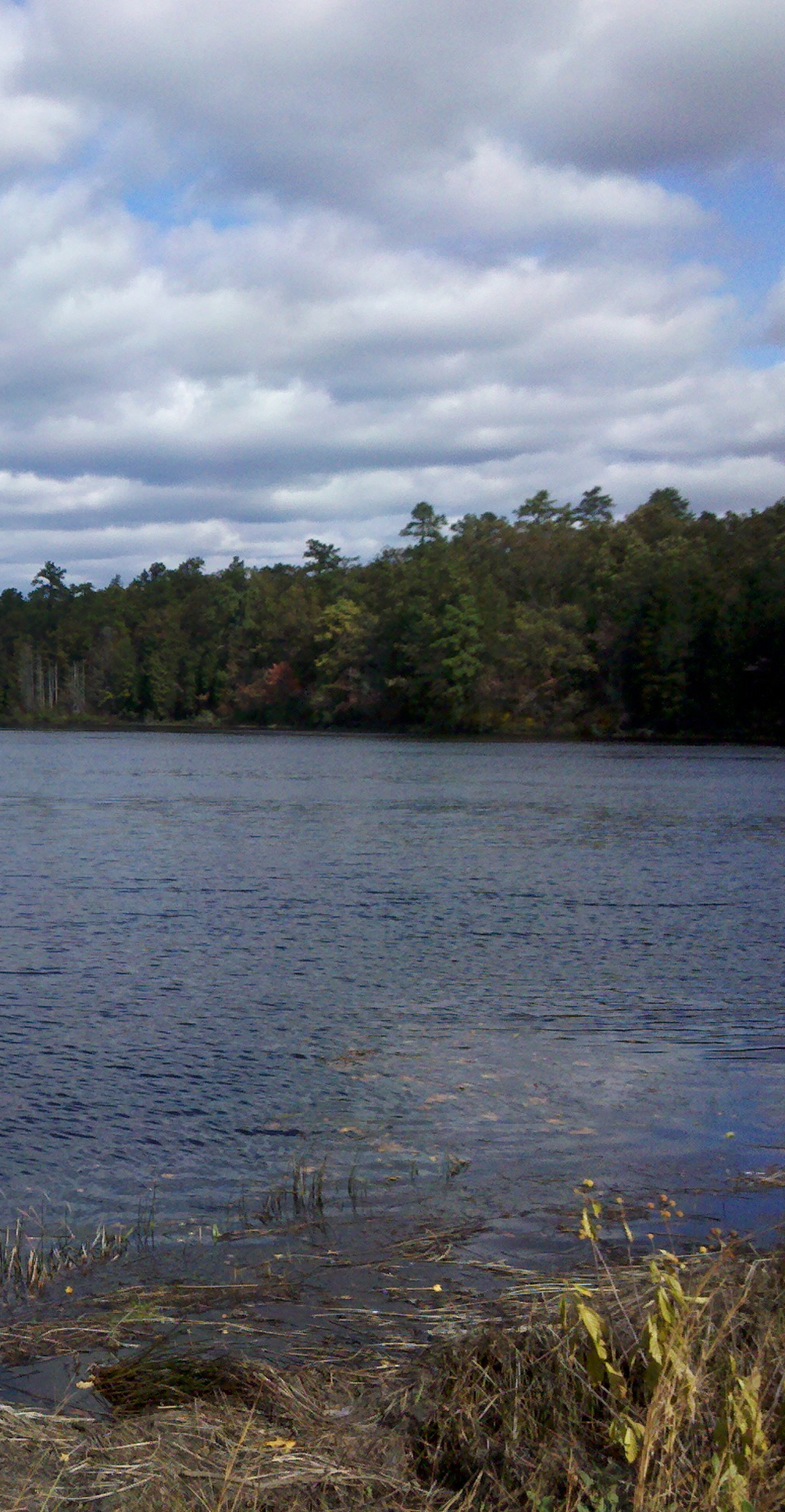 Batsto-Lake