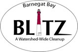 barnegat bay blitz logo