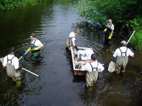 barge electrofishing