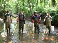 2 backpack electrofishing