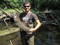 brown trout mulhockaway creek