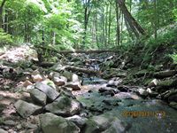 headwaters stream