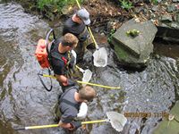 1 backpack electrofishing