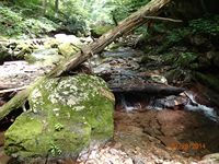 headwaters stream