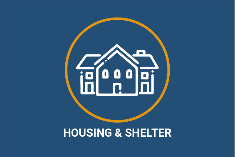 Learn more about Housing & Shelter Programs >