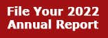 File Your Annual Report