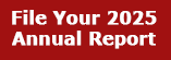 File Your Annual Report