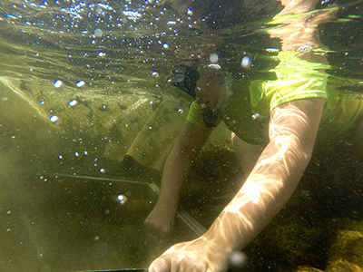 DRBC staff head underwater to collect a sample of macroinvertebrates. Photo by DRBC.