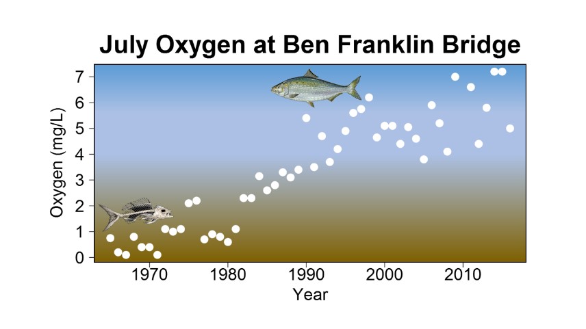 Chart showing improvement in dissolved oxygen levels in the Delaware River.