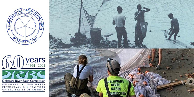 Image of the DRBC logo and staff performing water quality monitoring.