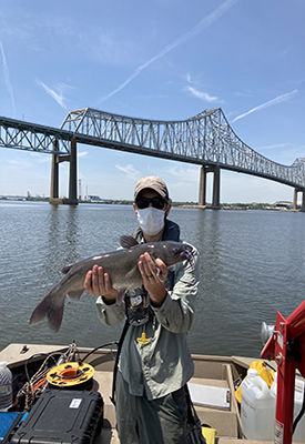 DRBC staff collected several species of fish, including catfish, from the Delaware River to monitor for PFAS. Photo by DRBC.