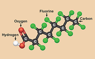 Chemistry of PFOA, courtesy of the National Institute of Environmental Health Sciences.