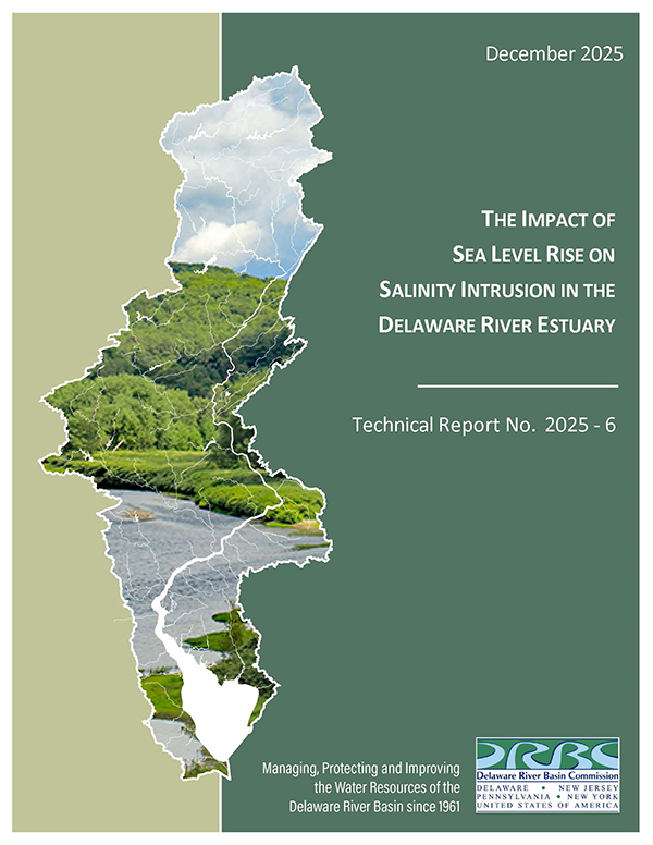 Image of the report cover.