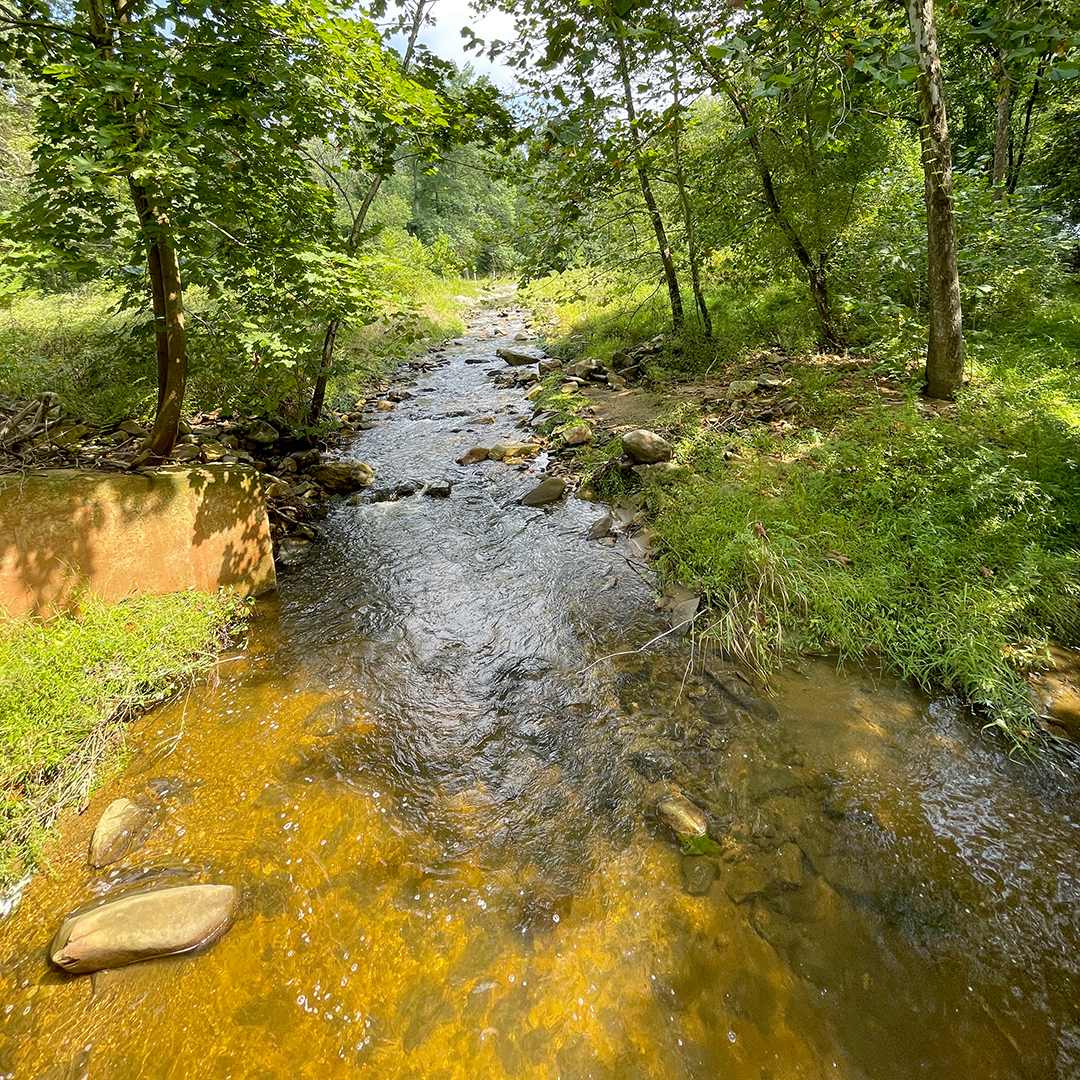 One of the stops on the tour was a streambank restoration project on Pine Creek in Oley, Pa. Photo by the DRBC.