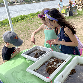 Kids love checking out the trays to see what types of bugs they can find. Photo by the DRBC.