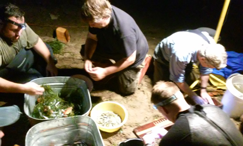 DRBC staff Eric Wentz (far left) and Erik Silldorff, Ph.D. (front right) assist with the non-tidal young of year American shad seining survey in Phillipsburg, N.J. in October 2014. Photo by DRBC.