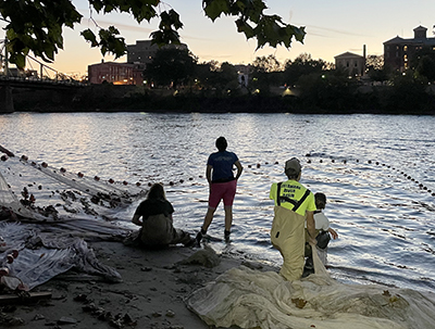 DRBC staff helps sein (catch with large net) for juvenile American Shad. Photo by DRBC.