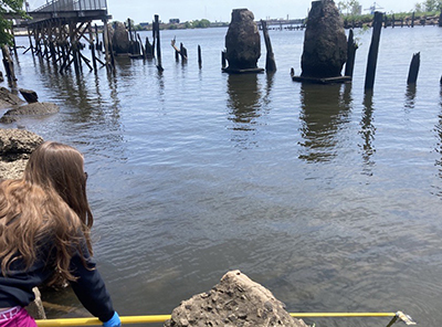 DRBC staff collects a sample to monitor bacteria concentrations in the Delaware Estuary. Photo by the DRBC.