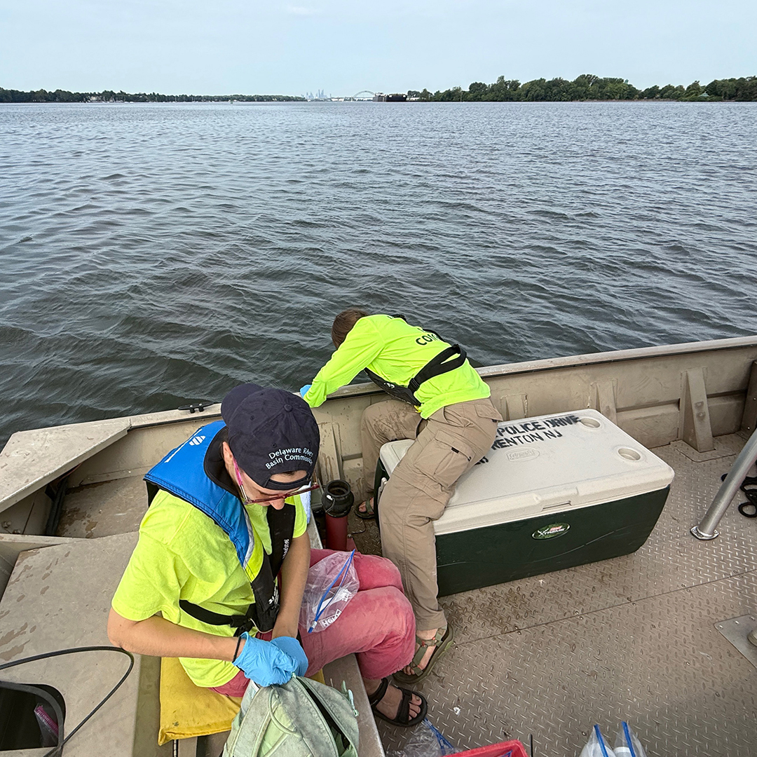DRBC staff monitor for bacteria in the Delaware River Estuary. Photo by the DRBC.