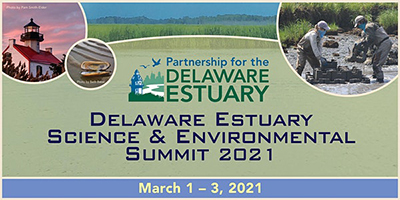 Banner for PDE Science & Environmental Summit, March 1-3, 2021