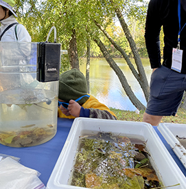 This derby participant had so much fun trying to find all the critters! Photo by the DRBC.