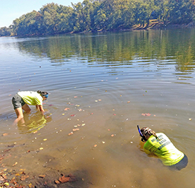 DRBC staff install one of the mussel cages in the river. Photo by DRBC.